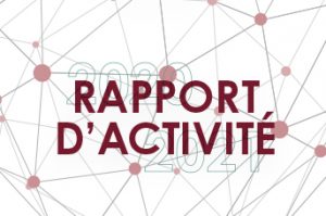 Syntec Conseil_Rapport d'activité_Article